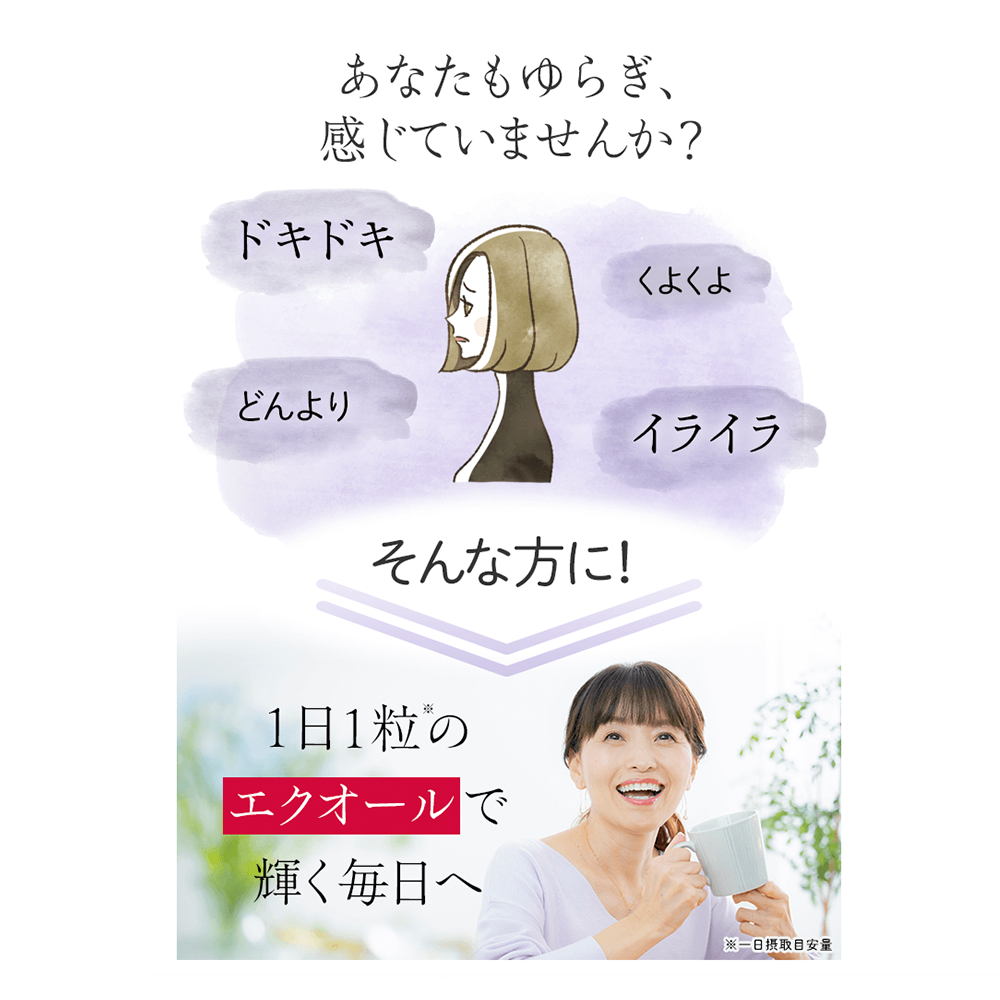 DHC  Equol  Soy Isoflavone 30day ×3P  *Bulk Buy