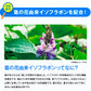 Onaka 60 pillbox