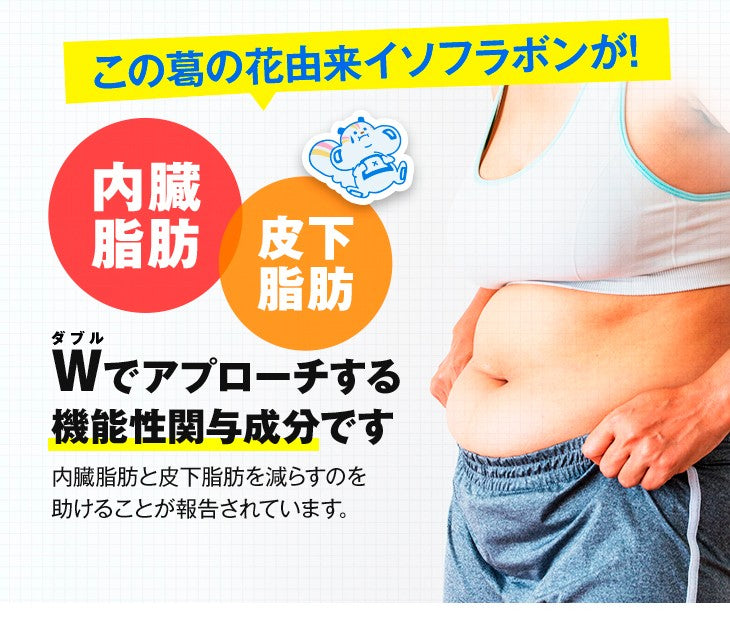Onaka 60 pillbox